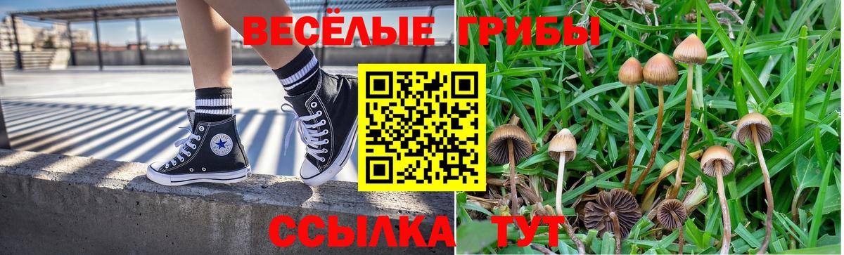 Галлюциногенные грибы ЛСД  Псилоцибиновые грибы Magic Shrooms  Вход с VPN  Звенигород 